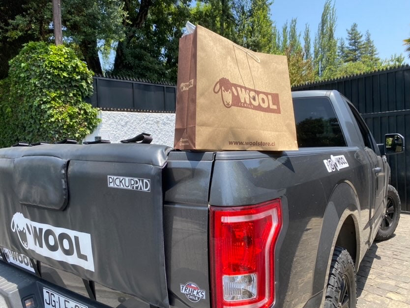 Sticker Trucks Chile Original (1 un)